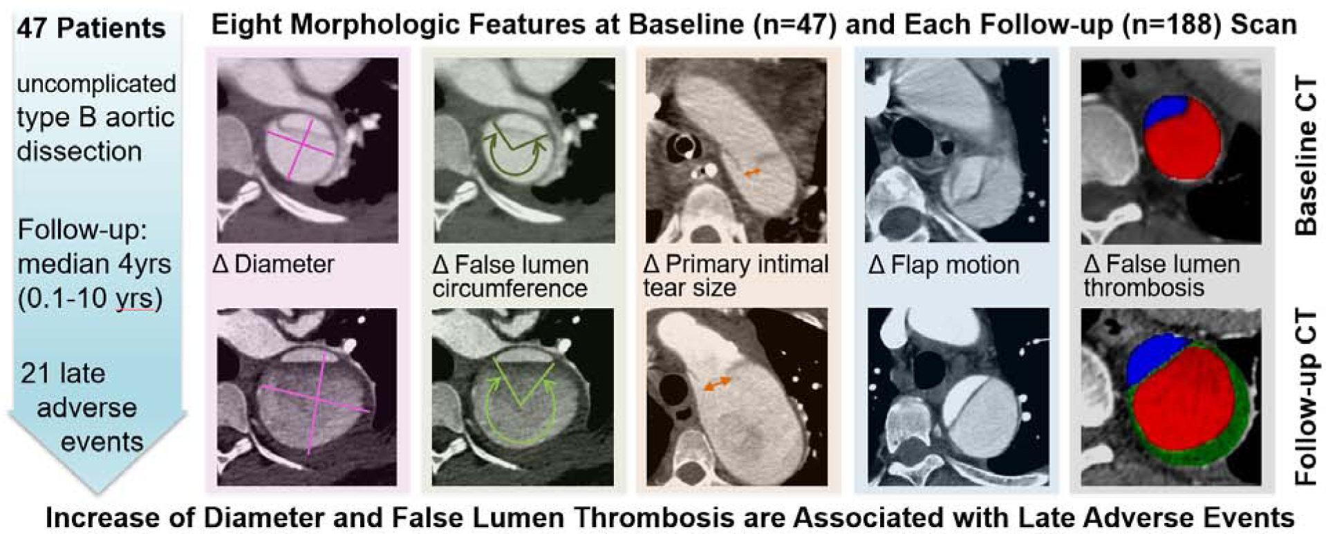 Figure 4 (Graphical Abstract)