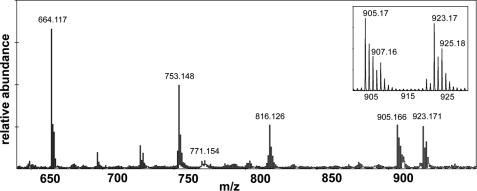 FIGURE 4.