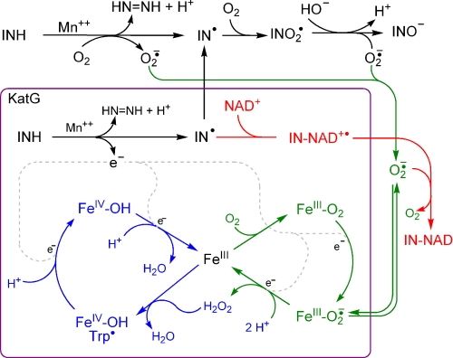 FIGURE 2.