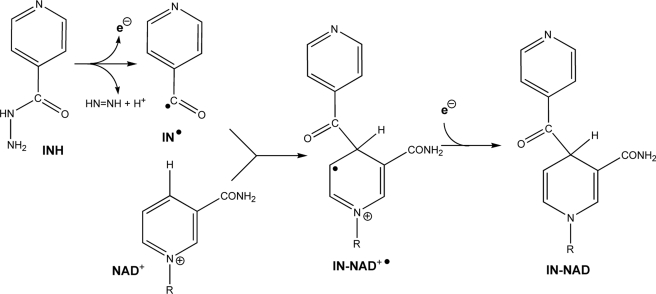 FIGURE 1.