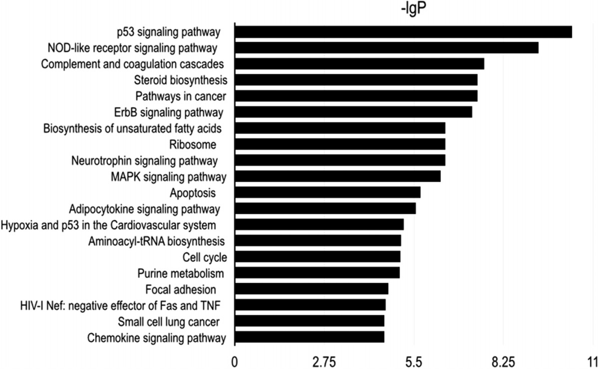 graphic file with name peerj-04-1792-g008.jpg