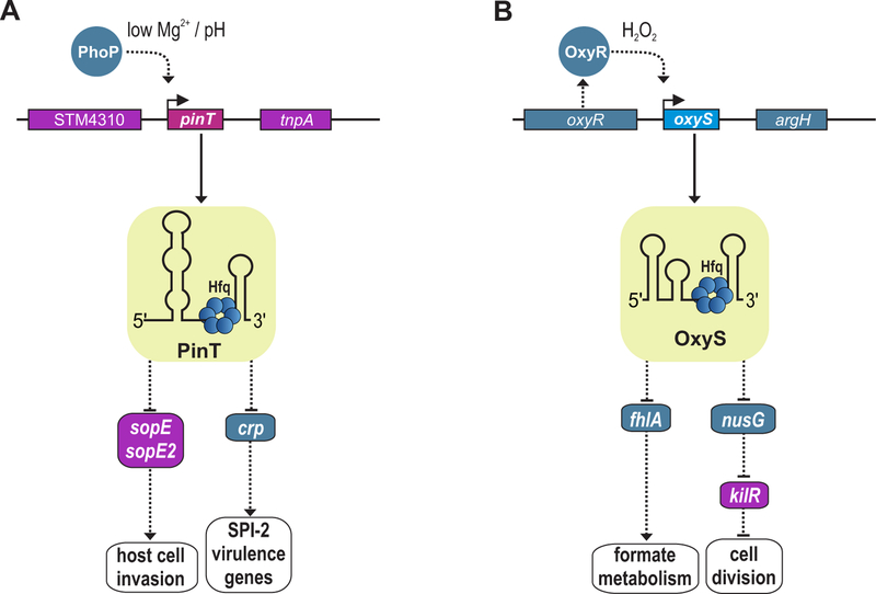 FIG 1