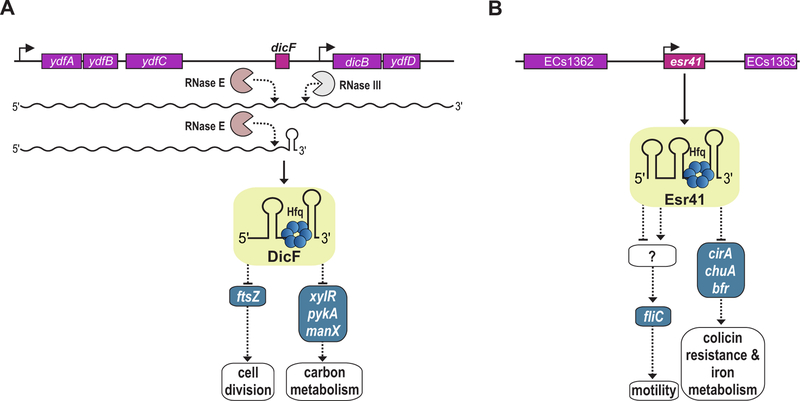 FIG 2