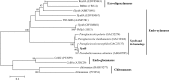 FIG 6