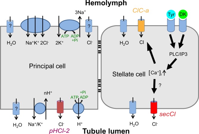 Figure 7