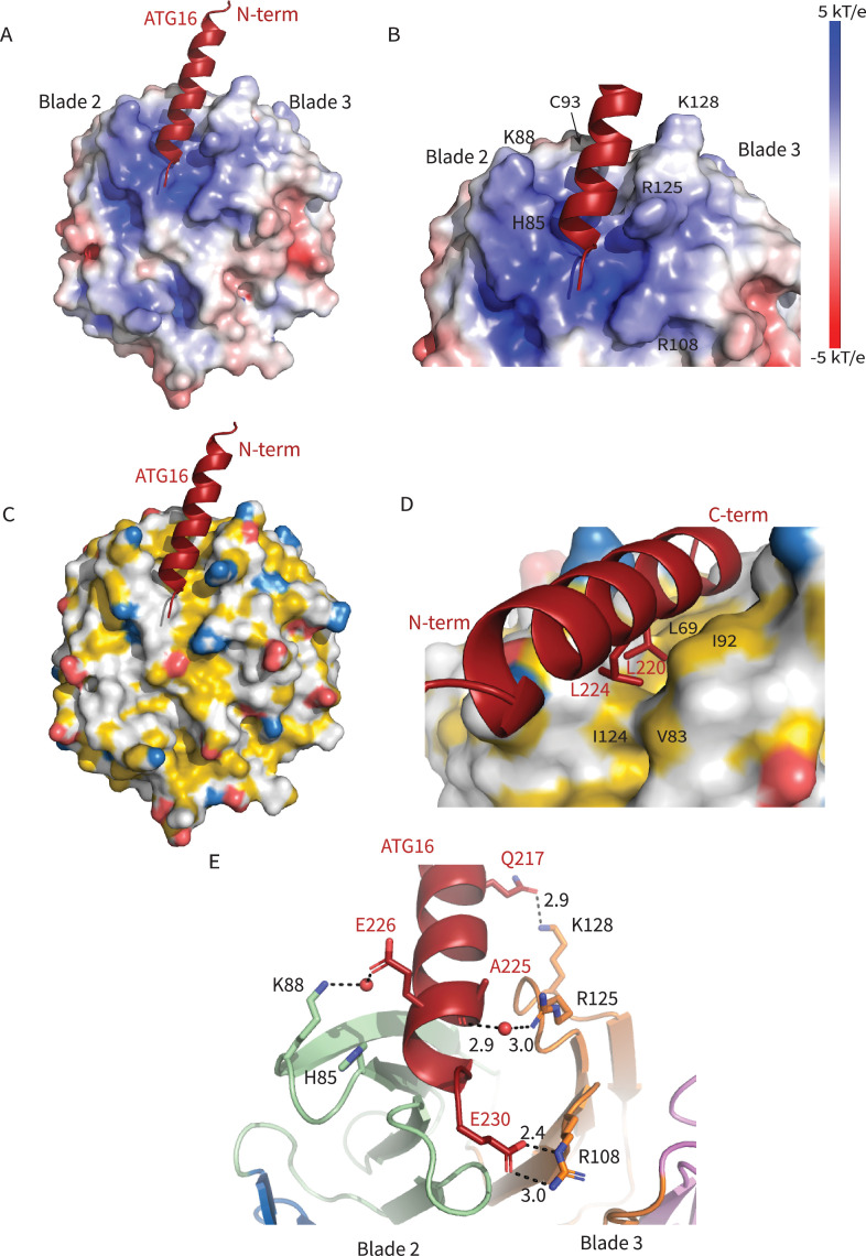 Figure 2.