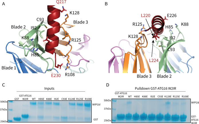 Figure 3.