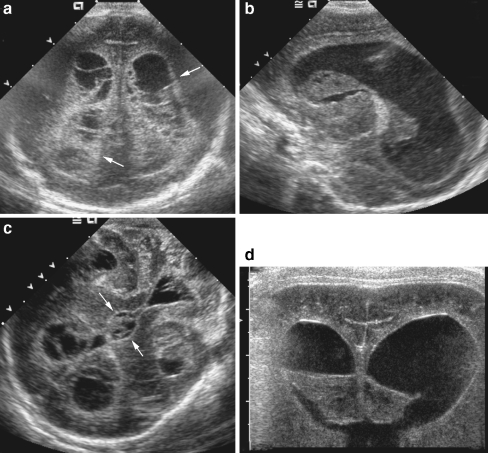 Fig. 6