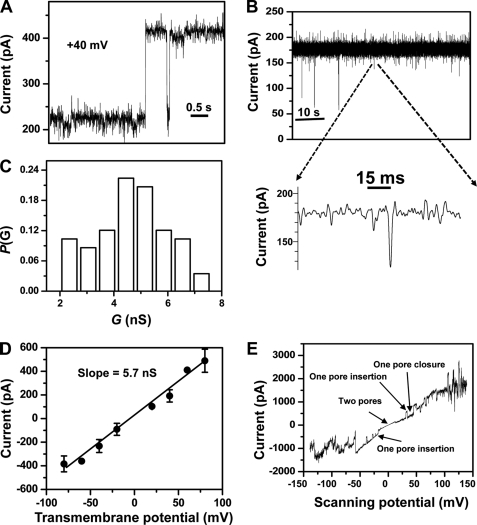 FIGURE 4.