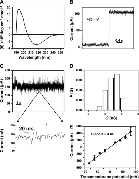 FIGURE 5.