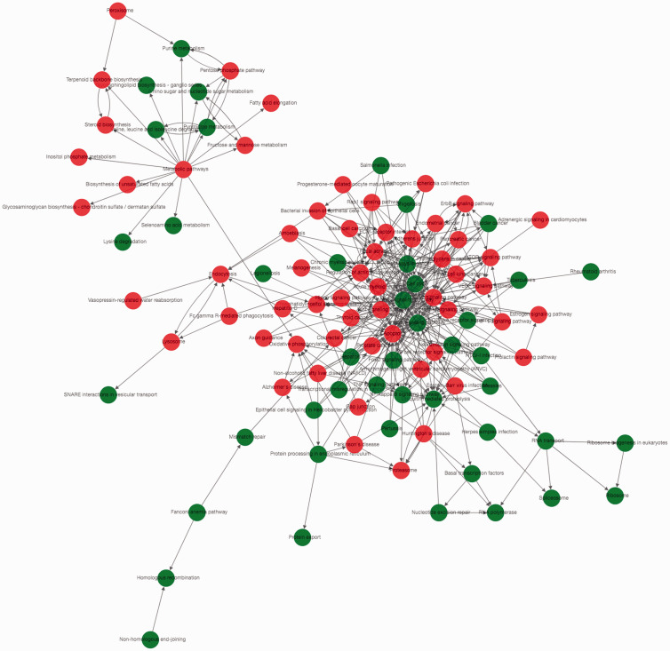 Figure 2.