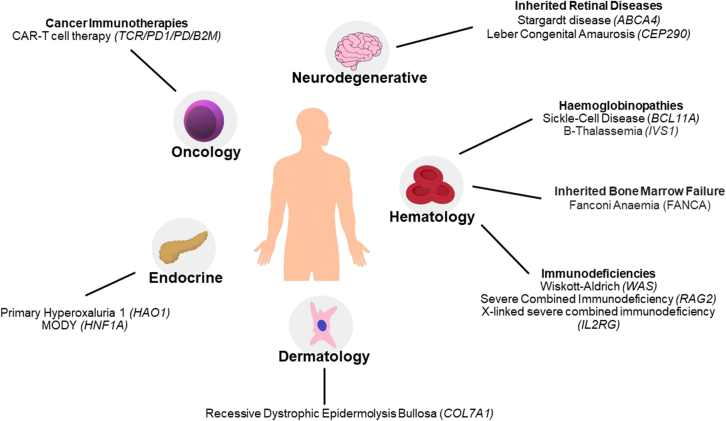 Figure 5