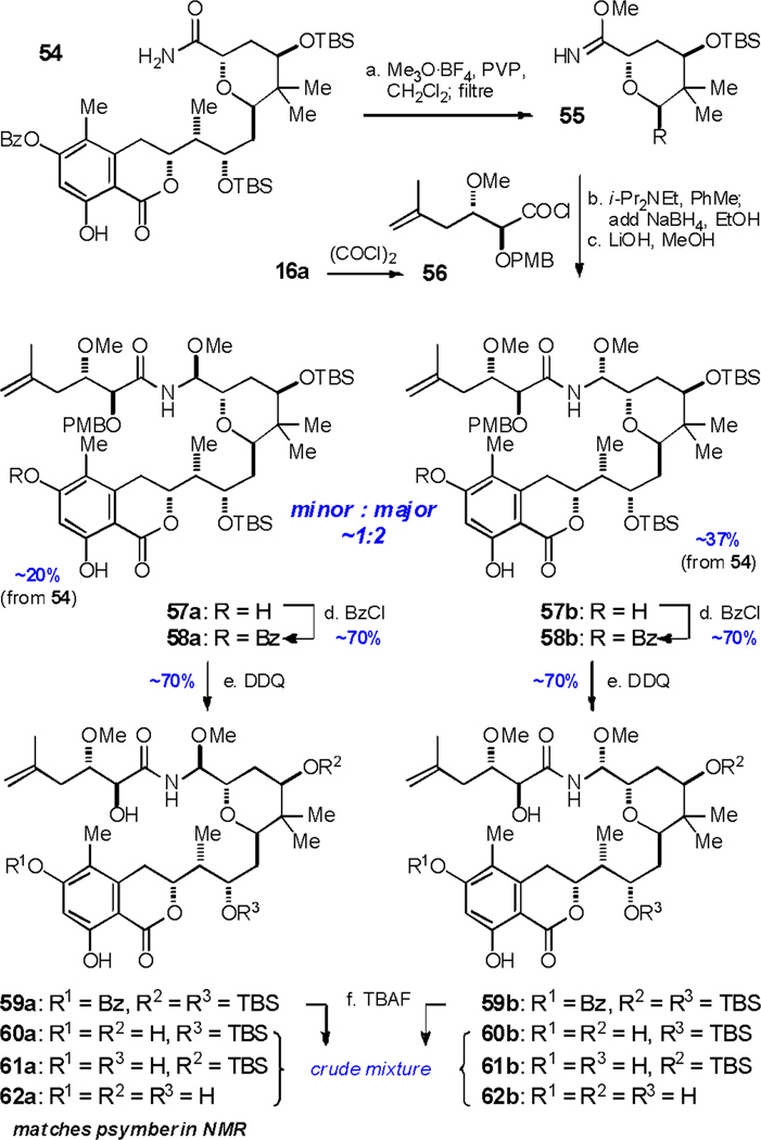 Scheme 6