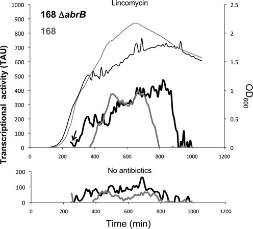 Figure 4.