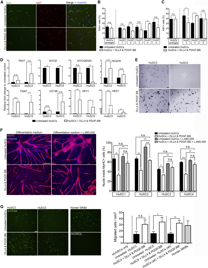 Figure 5