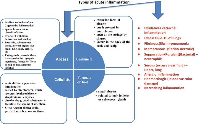 Fig. 4.6