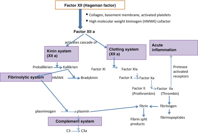 Fig. 4.8