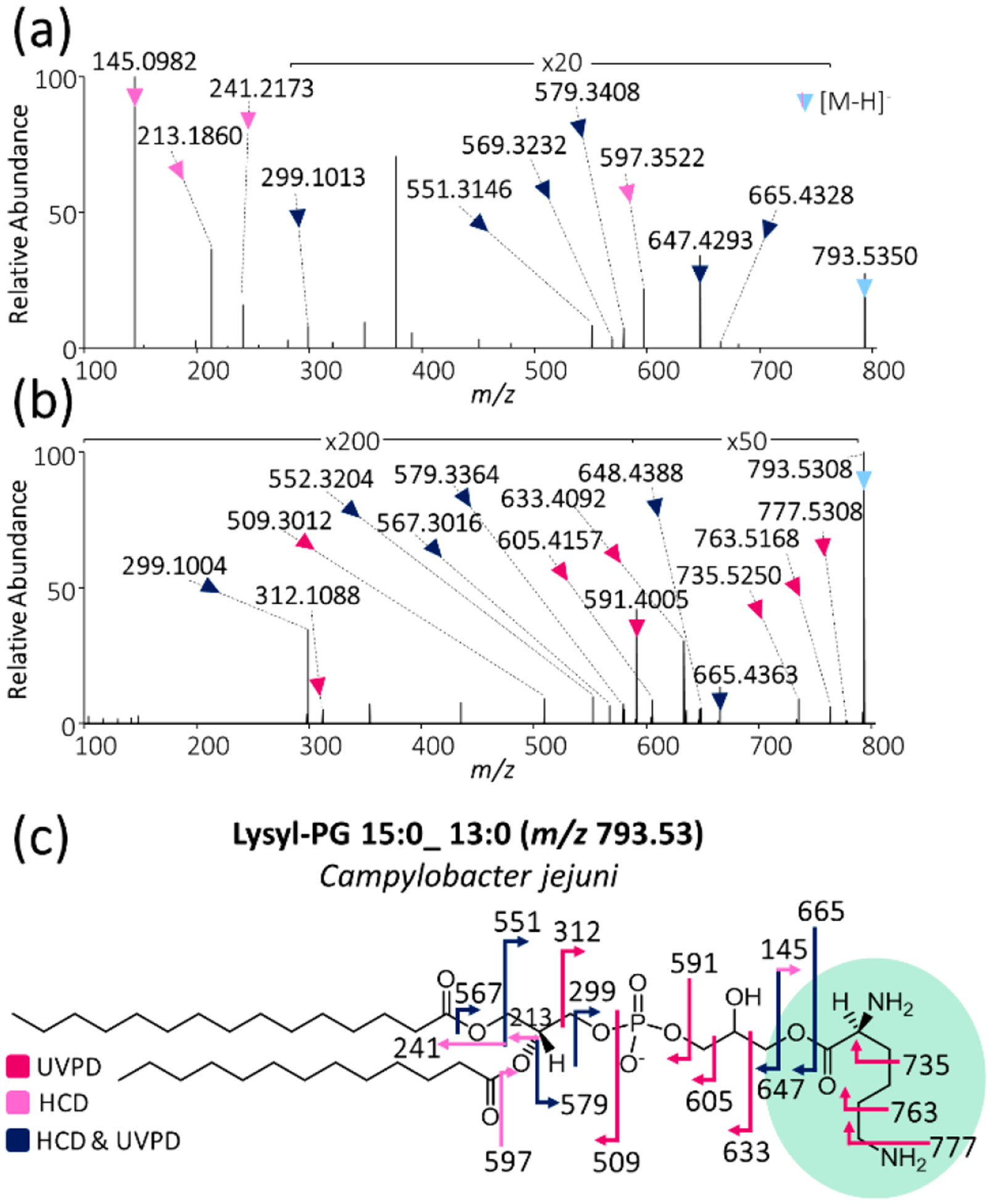 Figure 6.