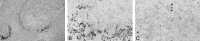 Fig 2.