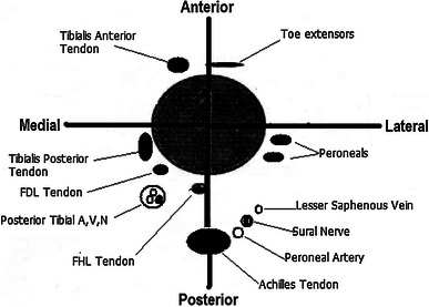 Fig. 5