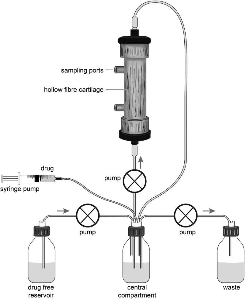 Fig 1