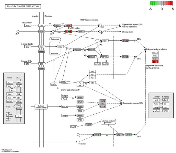 Figure 4