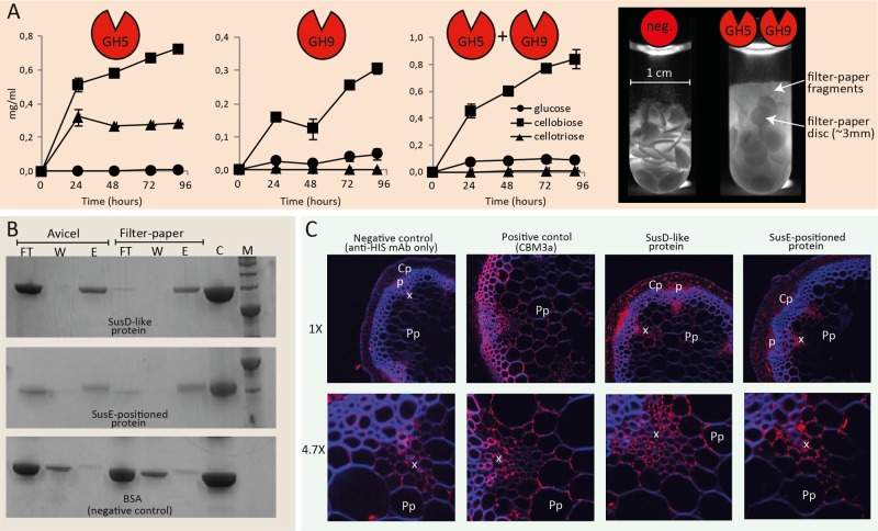 FIG 2 