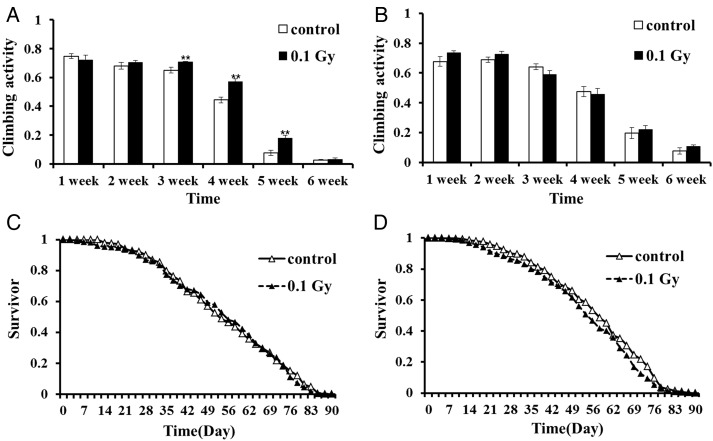 Fig. 2.