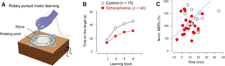 Fig. 2