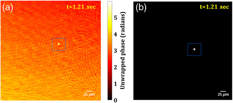 Fig. 11