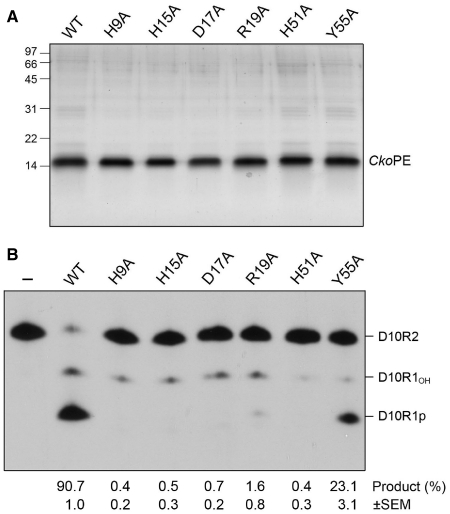 Figure 7.