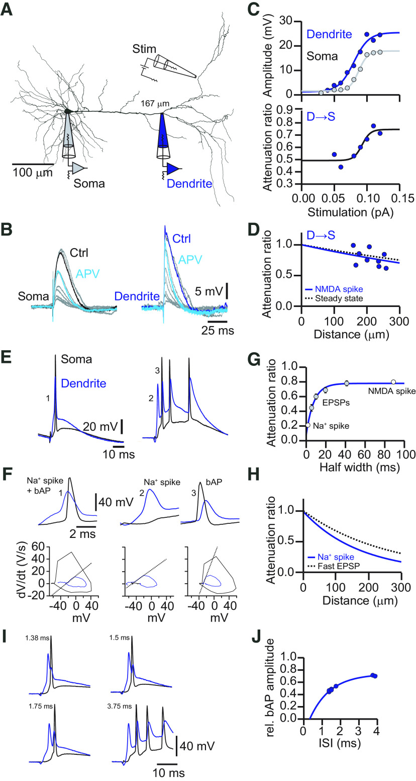 Figure 10.