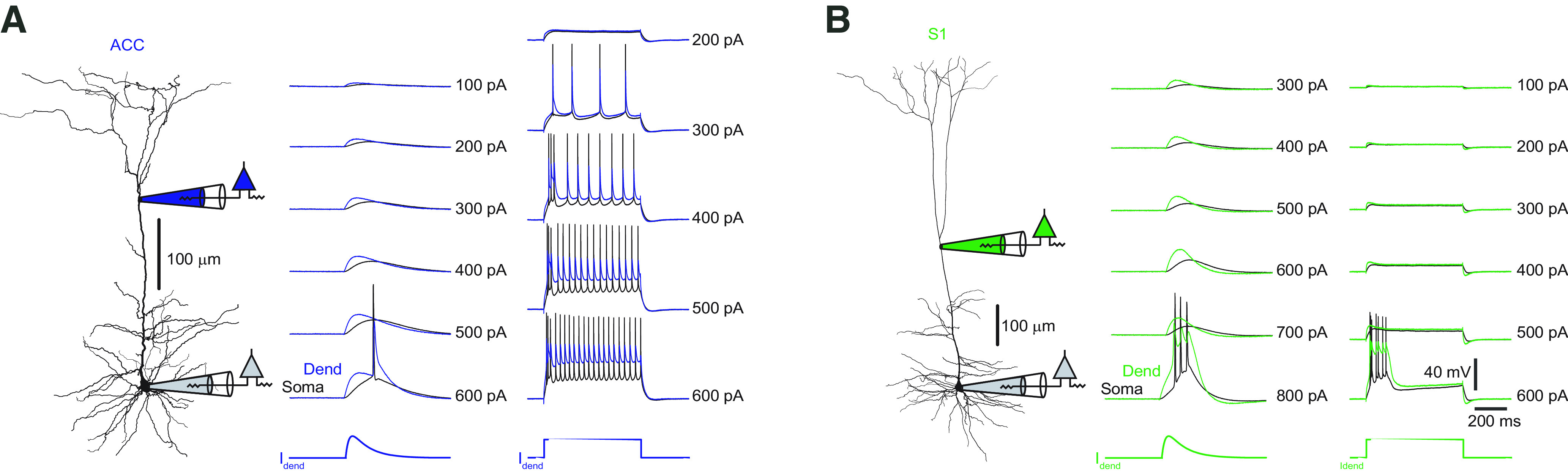 Figure 11.