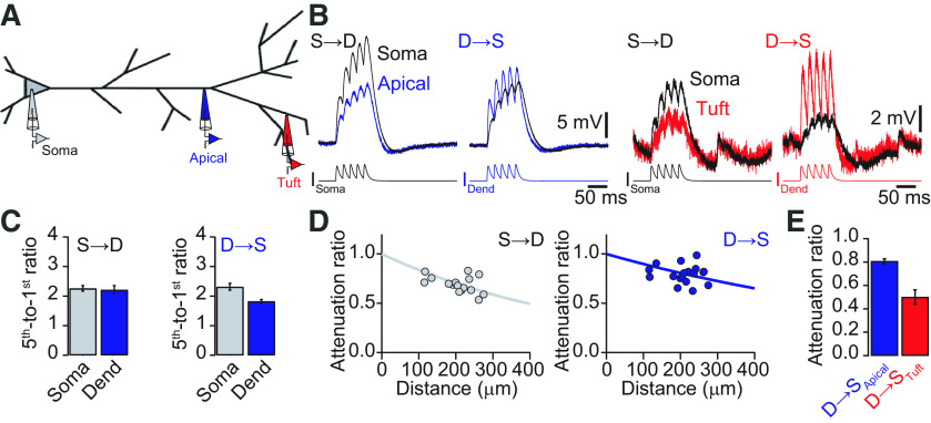 Figure 9.