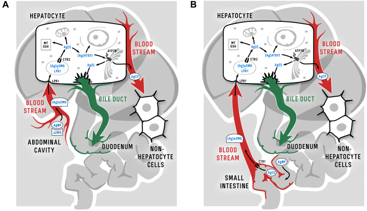 Figure 10