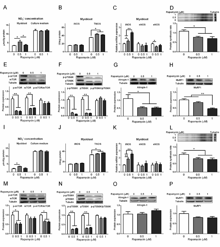 Fig. 11