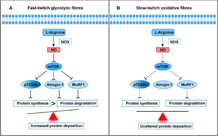 Fig. 12