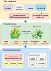 Fig. 2