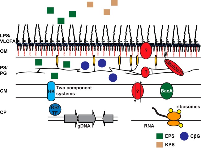 FIG 6 