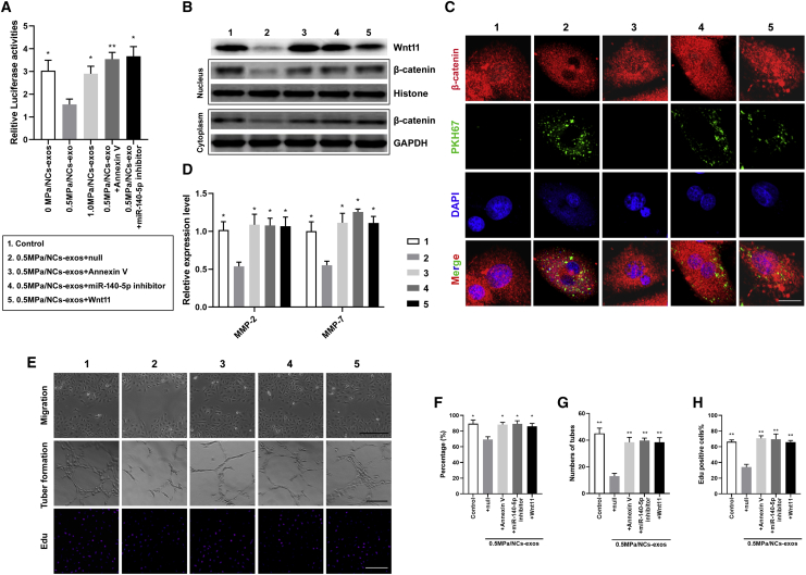 Figure 6