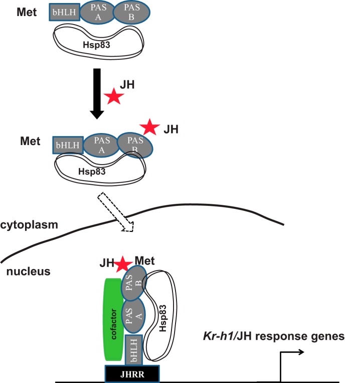 FIGURE 9.