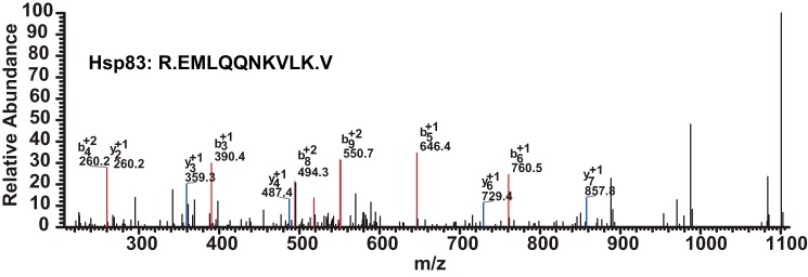 FIGURE 4.