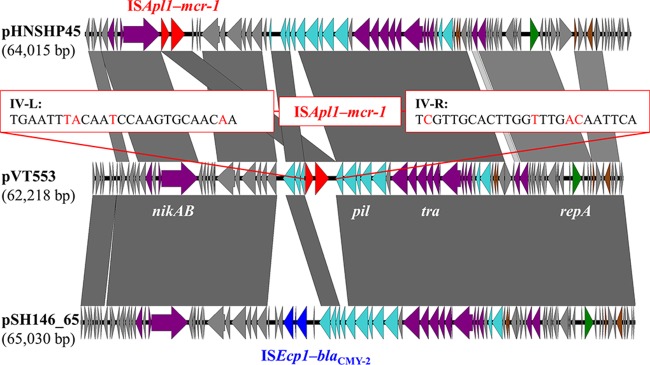 FIG 2