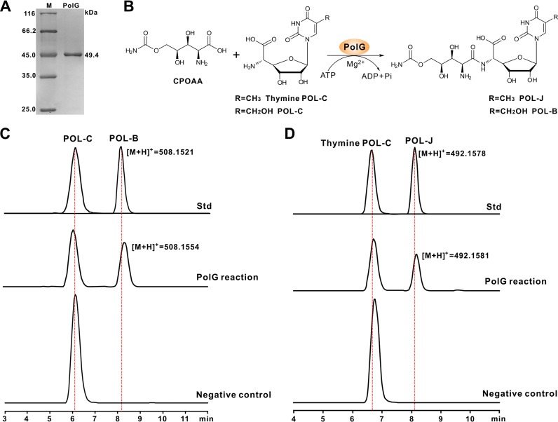 FIG 3