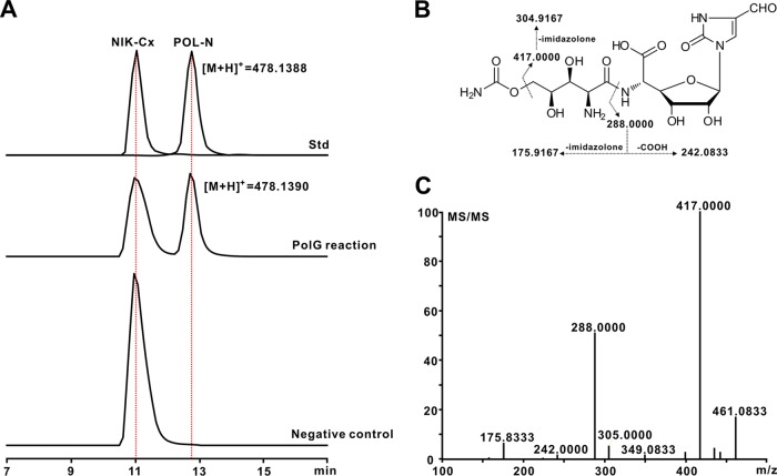 FIG 4