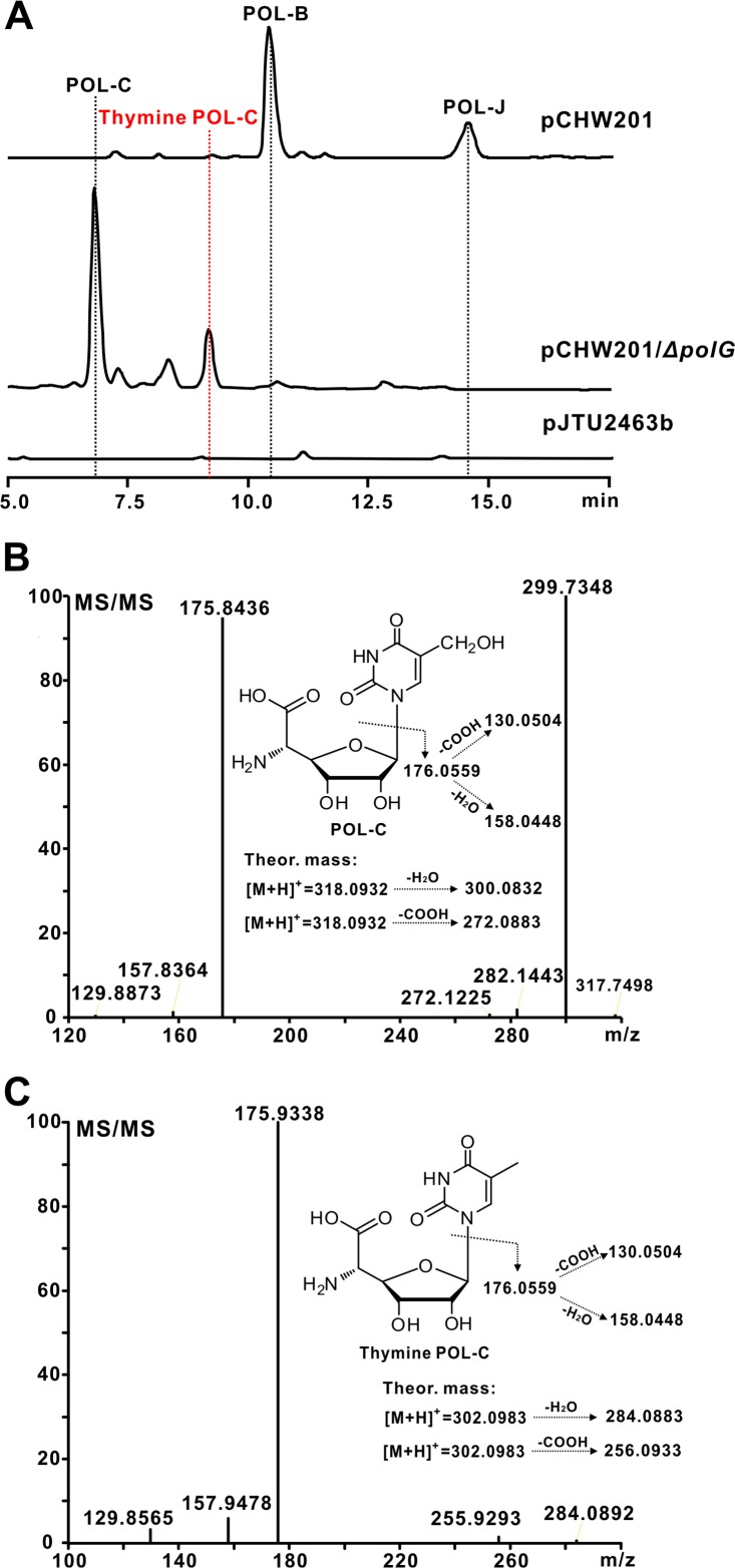 FIG 2