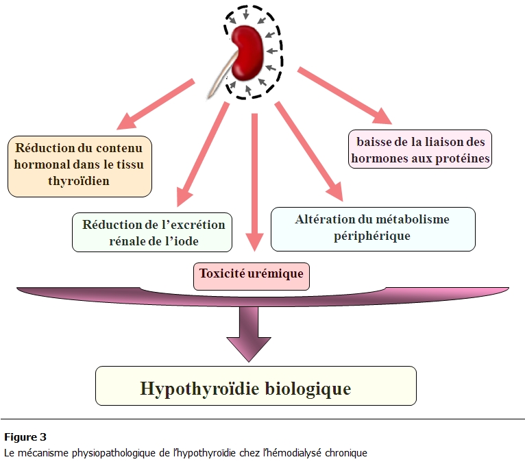 Figure 3: