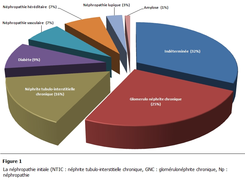 Figure 1: