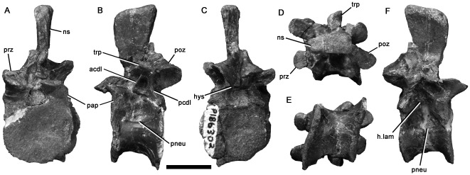 Figure 6