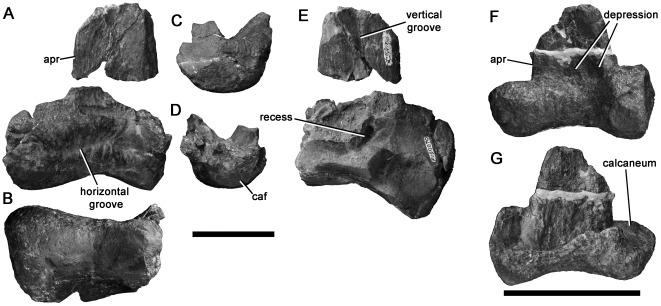 Figure 21